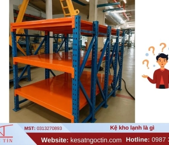 Kệ kho lạnh là gì Lợi ích khi sử dụng kệ trong kho hàng lạnh