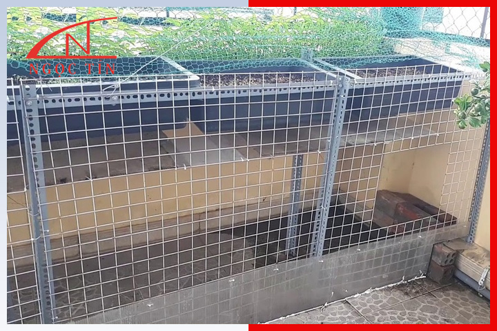 Những lưu ý khi làm chuồng gà đơn giản tại nhà Những lưu ý khi làm chuồng gà đơn giản tại nhà